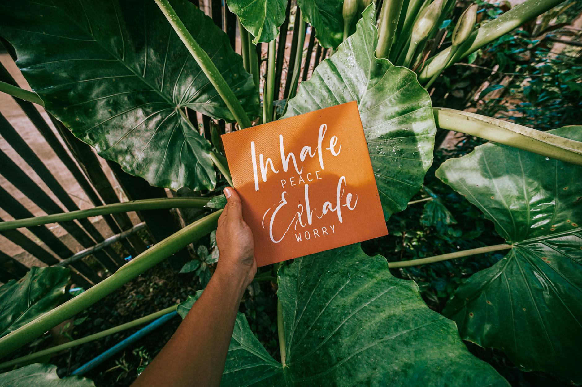 What You Should Know About Self-Care Inspired by Seth Meyers
