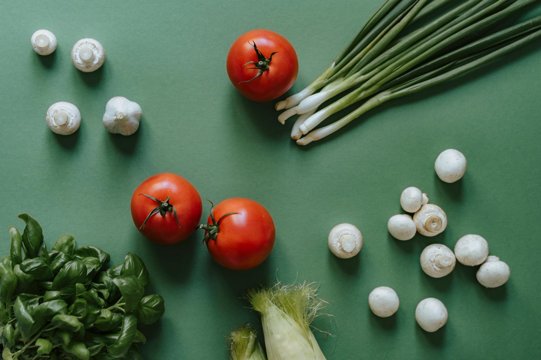 Discover the Benefits of a Plant-Based Diet with Easy Recipes