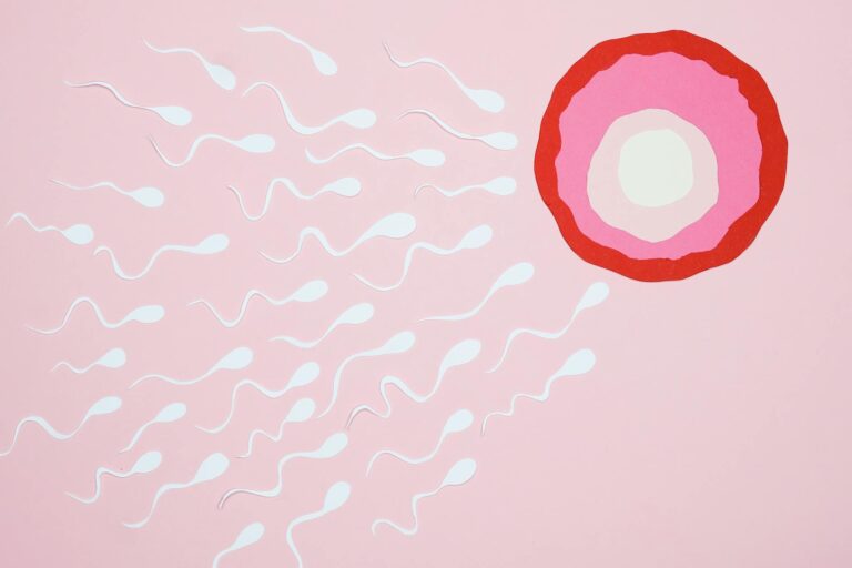Period Calculator – Calculate Your Next Period, Ovulation & Fertile Window