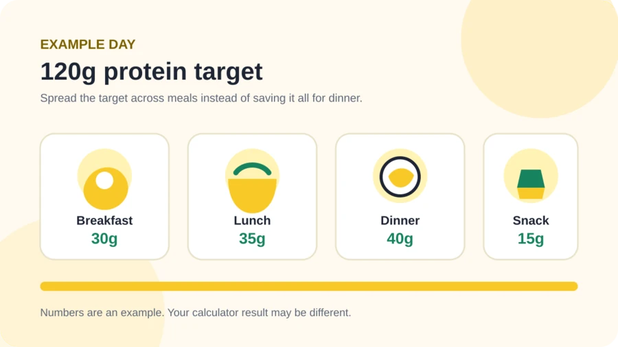 Example showing how a daily protein target can be distributed across meals
